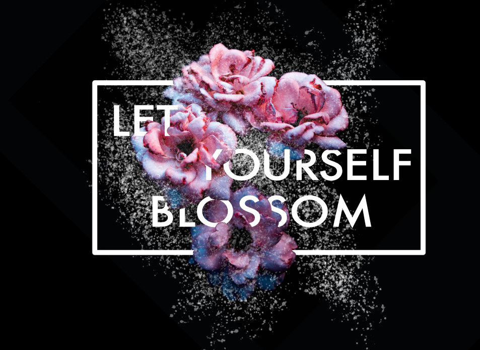 ブロッサム画像